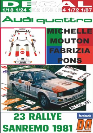 DECAL AUDI QUATTRO M.MOUTON R.SANREMO 1981 WINNER (01)