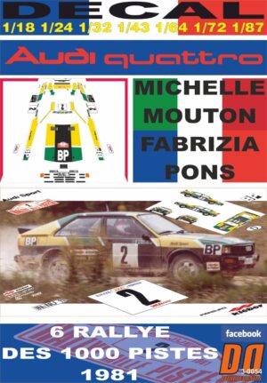 DECAL AUDI QUATTRO M.MOUTON R DES 1000 PISTES 1981 DnF (01)